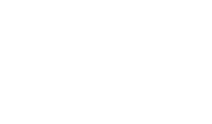 LemonPerfect